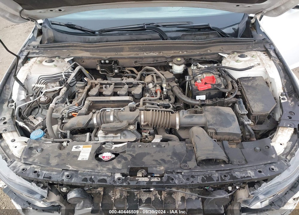 2019 HONDA ACCORD LX VIN: 1HGCV1F19KA058224