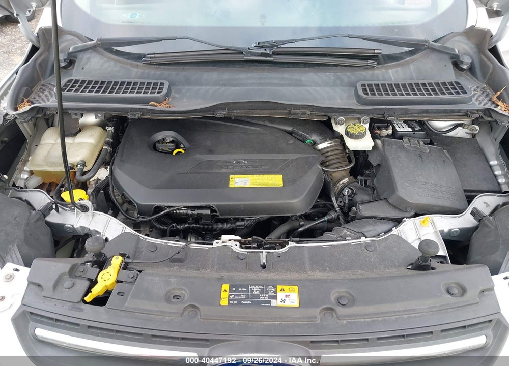 2014 FORD ESCAPE SE VIN: 1FMCU0GX1EUA39793