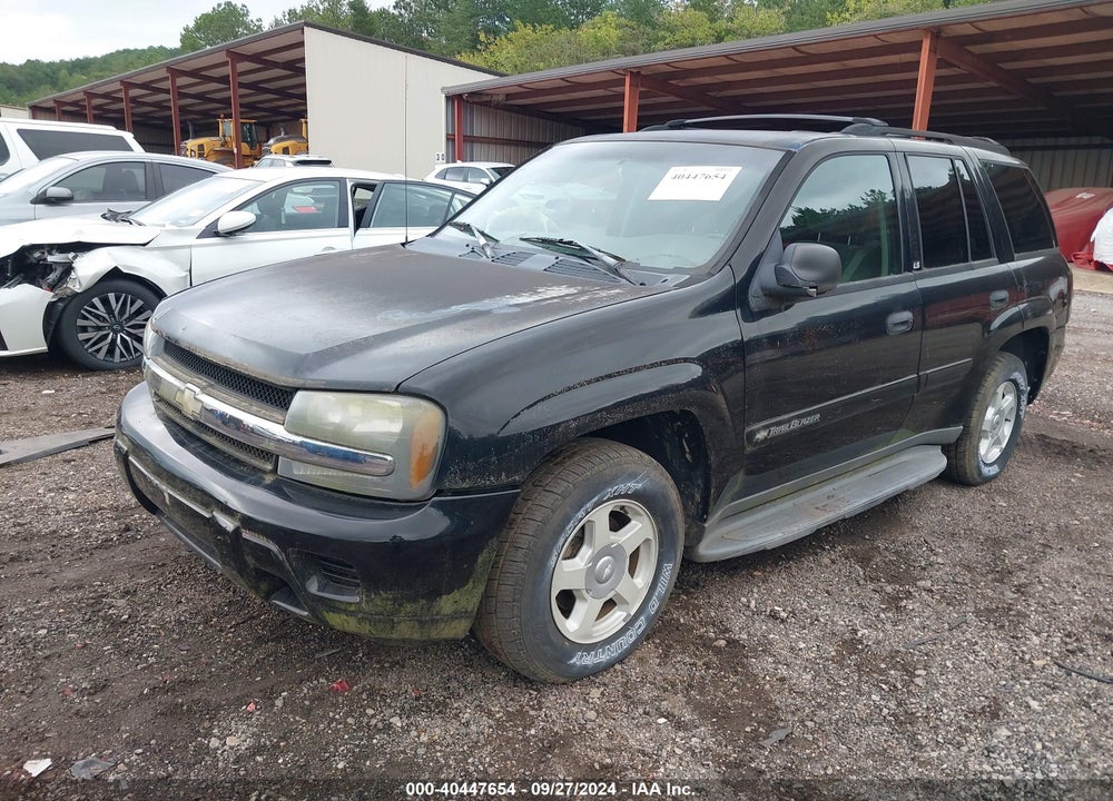 2002 CHEVROLET TRAILBLAZER LS VIN: 1GNDS13SX22517304