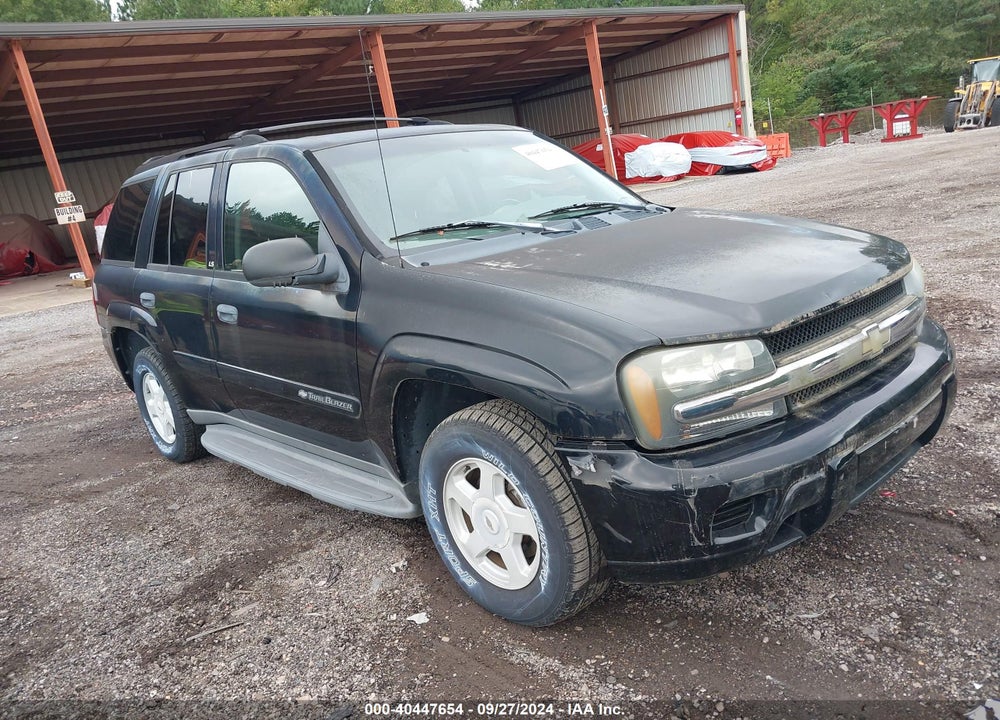 2002 CHEVROLET TRAILBLAZER LS VIN: 1GNDS13SX22517304