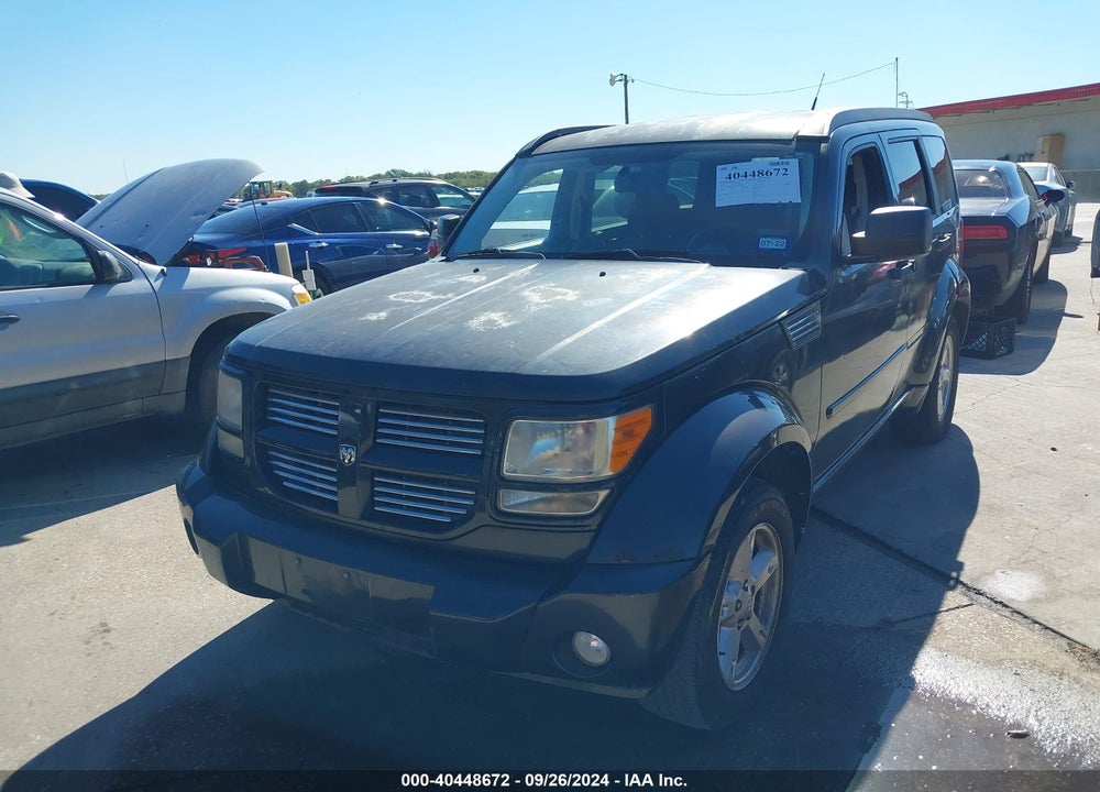 2011 DODGE NITRO SXT VIN: 1D4PT5GK7BW561308