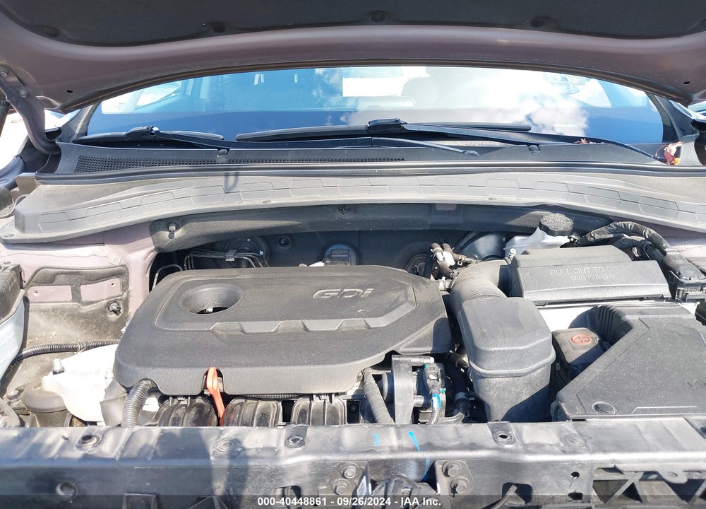 2019 HYUNDAI SANTA FE SEL VIN: 5NMS3CADXKH007933