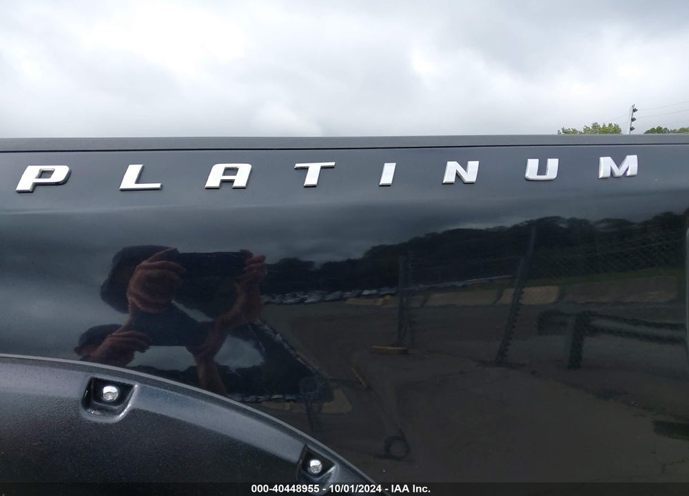 2017 FORD F-250 PLATINUM VIN: 1FT7W2BT0HEE92401