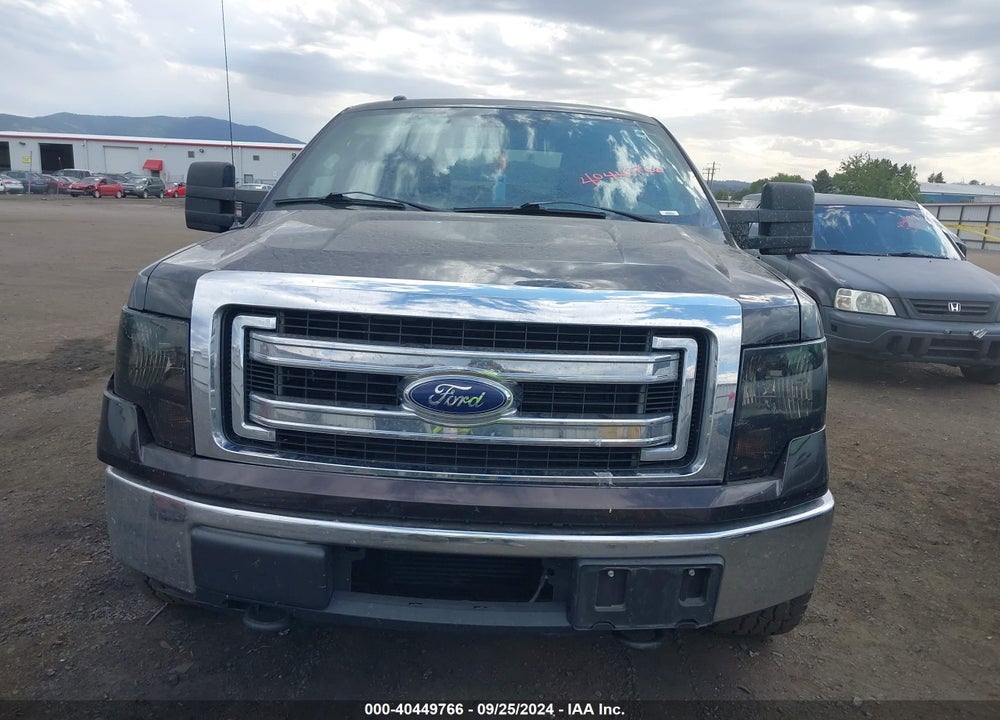 2013 FORD F-150 XLT VIN: 1FTFX1ET7DFA24782
