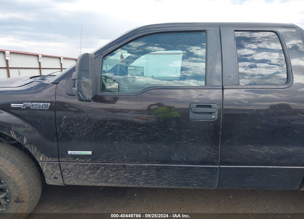 2013 FORD F-150 XLT VIN: 1FTFX1ET7DFA24782