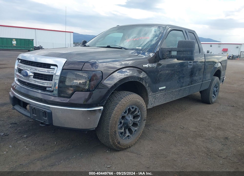 2013 FORD F-150 XLT VIN: 1FTFX1ET7DFA24782