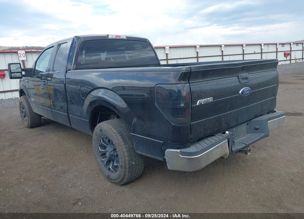 2013 FORD F-150 XLT VIN: 1FTFX1ET7DFA24782