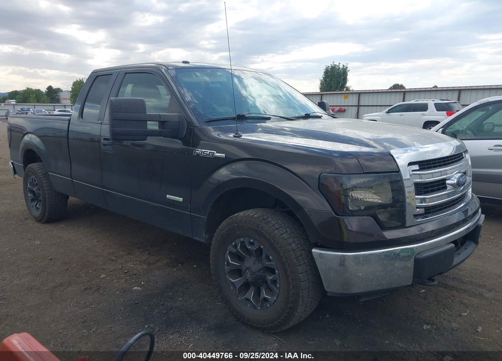 2013 FORD F-150 XLT VIN: 1FTFX1ET7DFA24782