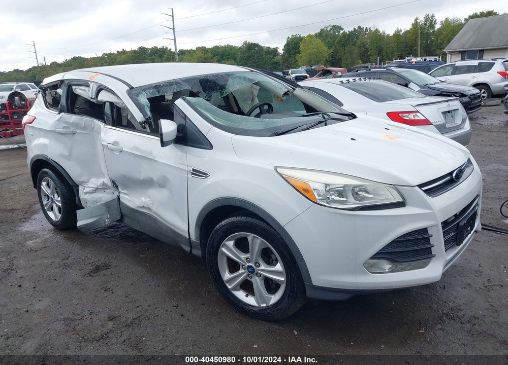 2013 FORD ESCAPE SE VIN: 1FMCU0GX1DUB02115