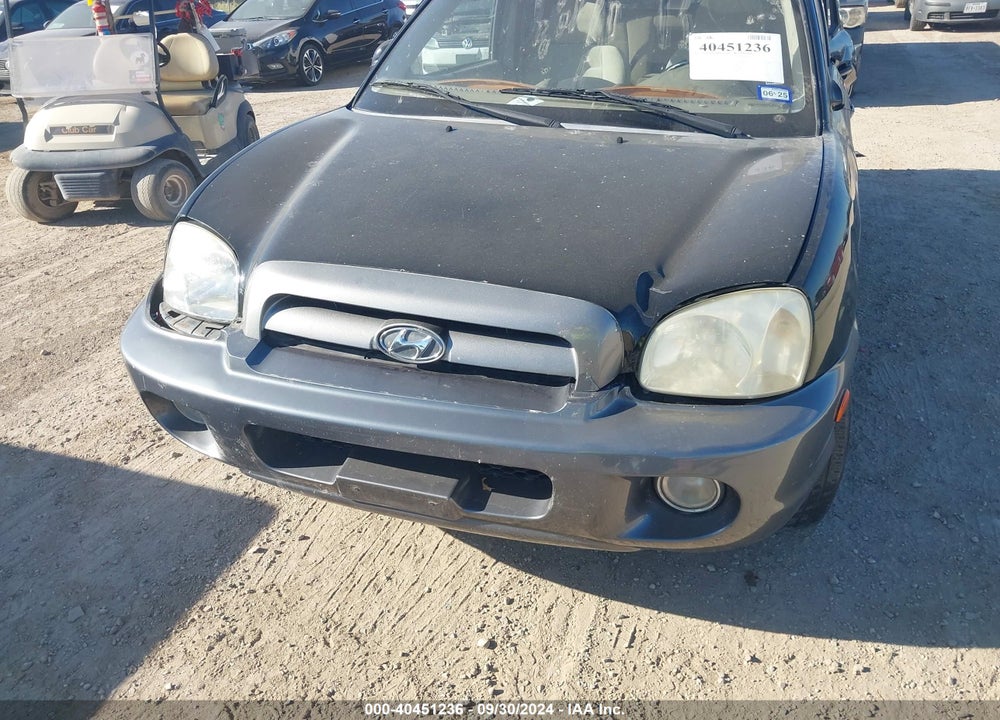 2006 HYUNDAI SANTA FE VIN: KM8SC13E16U060024