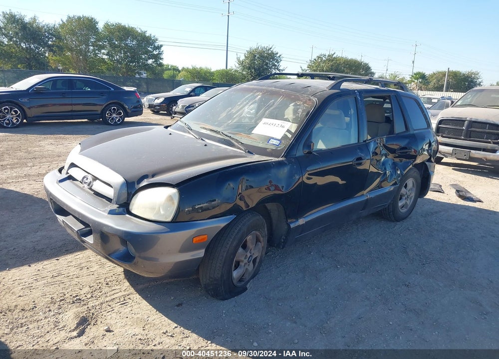 2006 HYUNDAI SANTA FE VIN: KM8SC13E16U060024