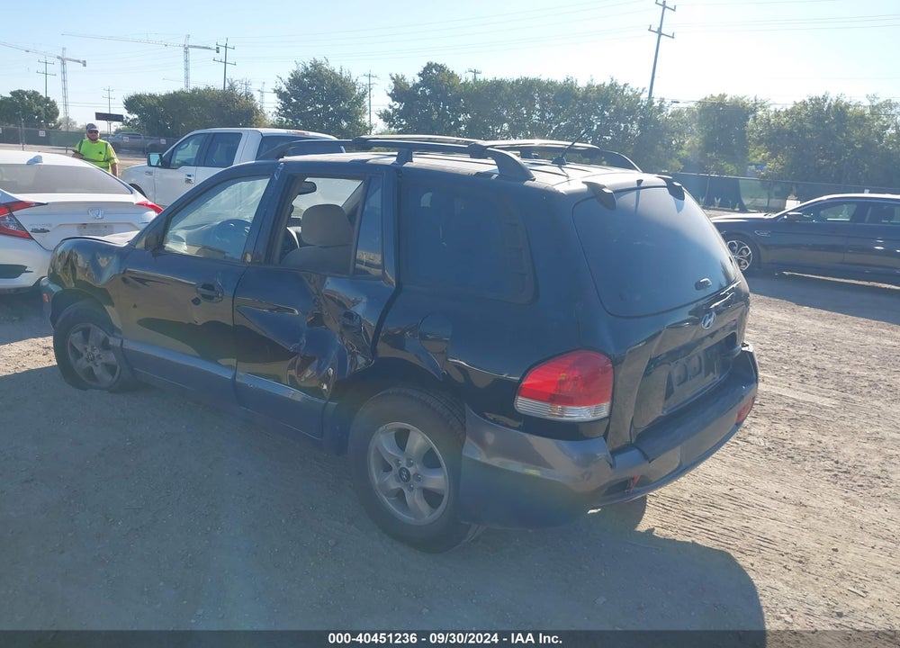 2006 HYUNDAI SANTA FE VIN: KM8SC13E16U060024