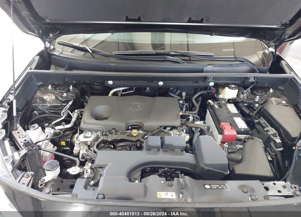 2024 TOYOTA RAV4 XLE VIN: 2T3P1RFV6RW472411
