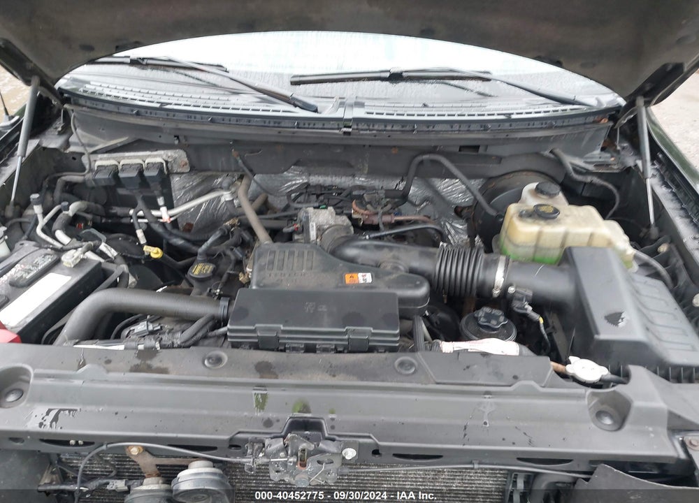 2009 FORD F-150 STX/XL VIN: 1FTRX14WX9FA24677