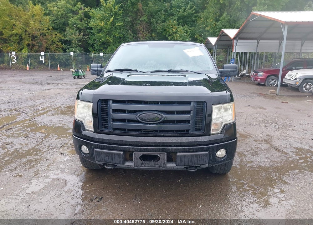 2009 FORD F-150 STX/XL VIN: 1FTRX14WX9FA24677