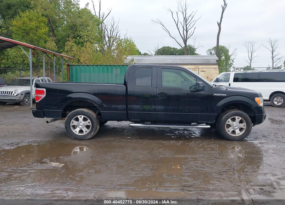 2009 FORD F-150 STX/XL VIN: 1FTRX14WX9FA24677