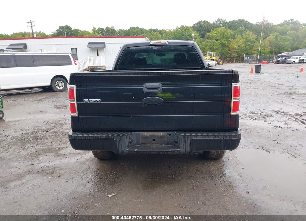 2009 FORD F-150 STX/XL VIN: 1FTRX14WX9FA24677