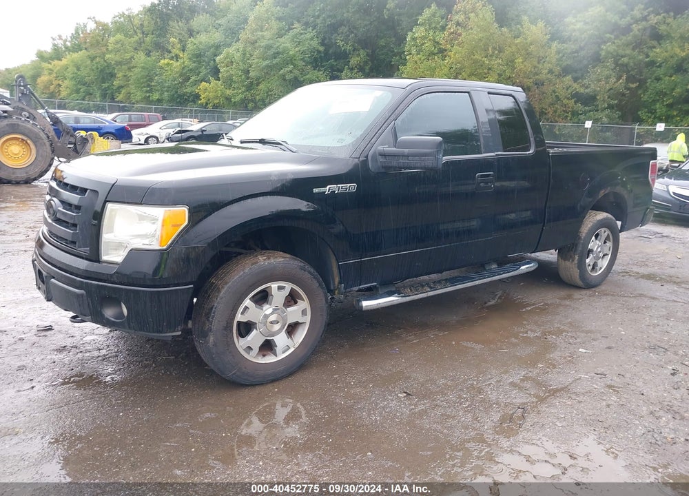 2009 FORD F-150 STX/XL VIN: 1FTRX14WX9FA24677