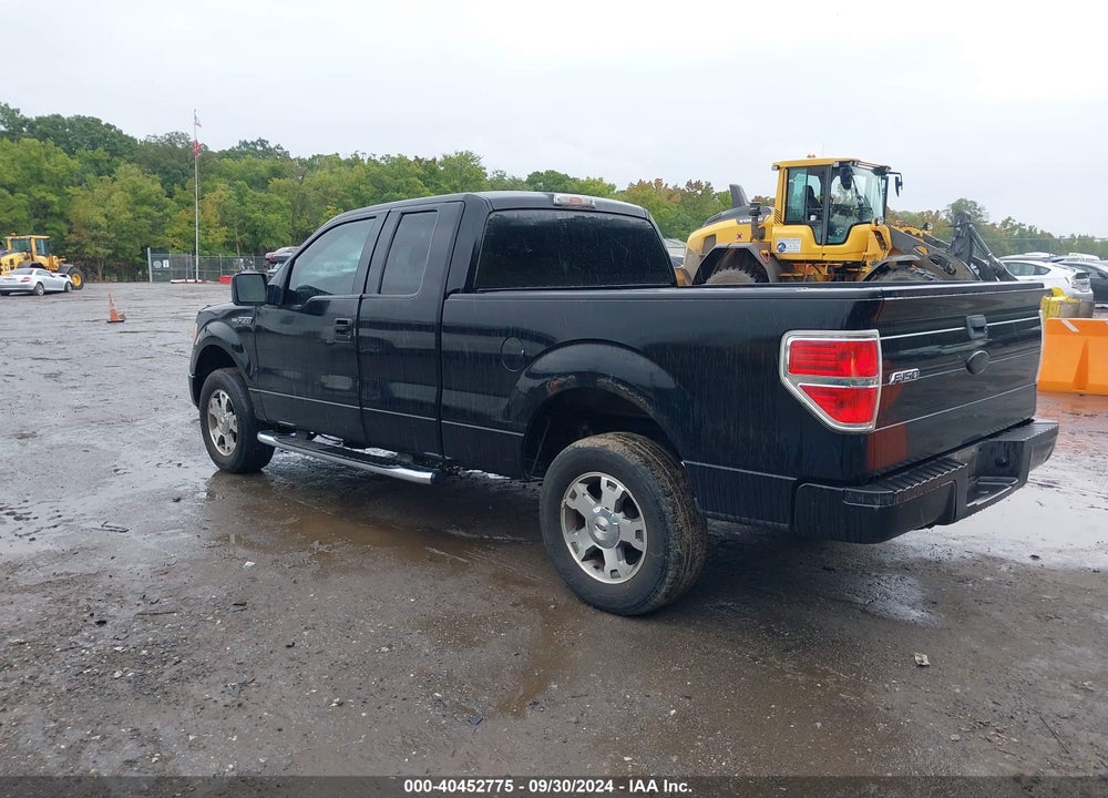 2009 FORD F-150 STX/XL VIN: 1FTRX14WX9FA24677