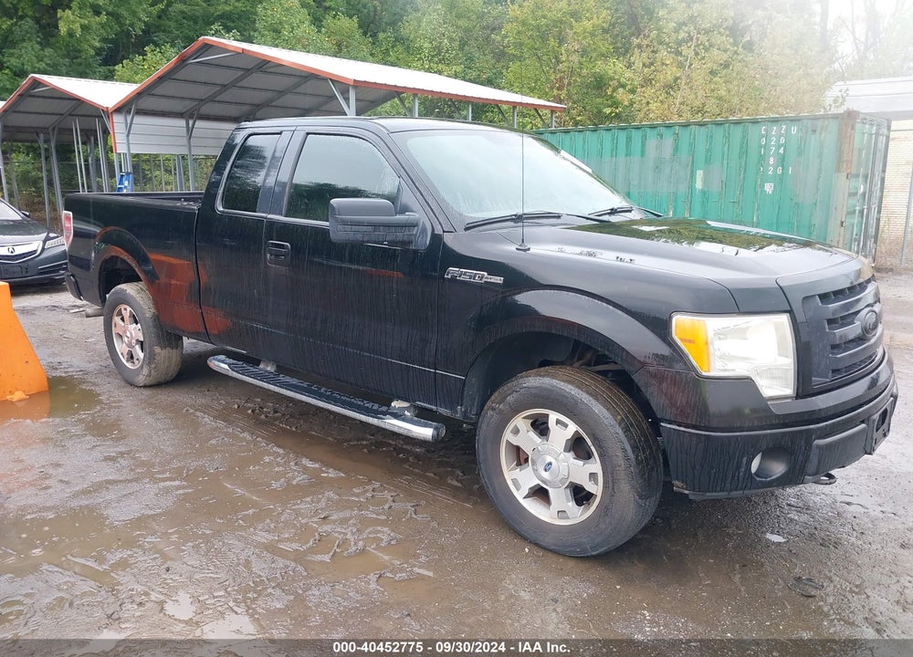 2009 FORD F-150 STX/XL VIN: 1FTRX14WX9FA24677