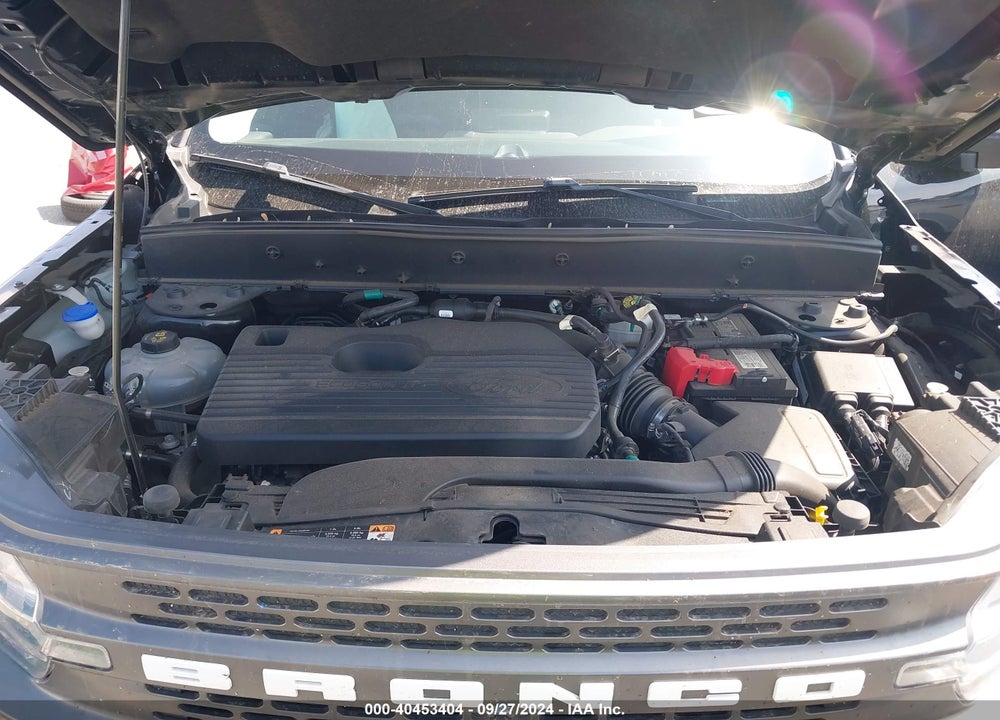 2021 FORD BRONCO SPORT VIN: 3FMCR9D91MRA36264