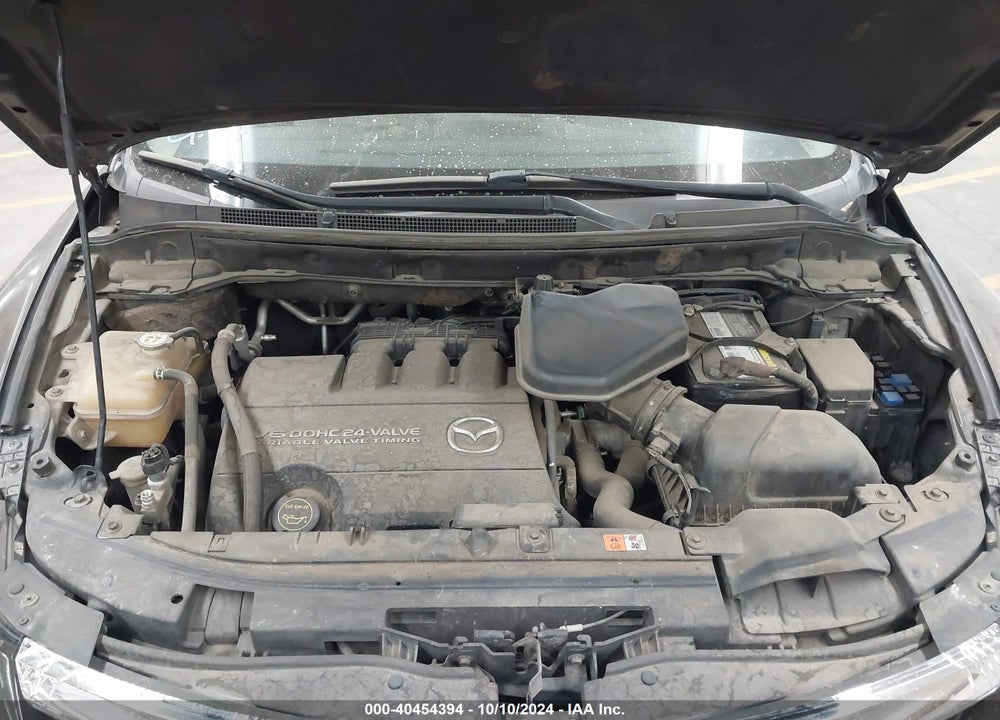 2009 MAZDA CX-9 SPORT VIN: JM3TB28V490173057