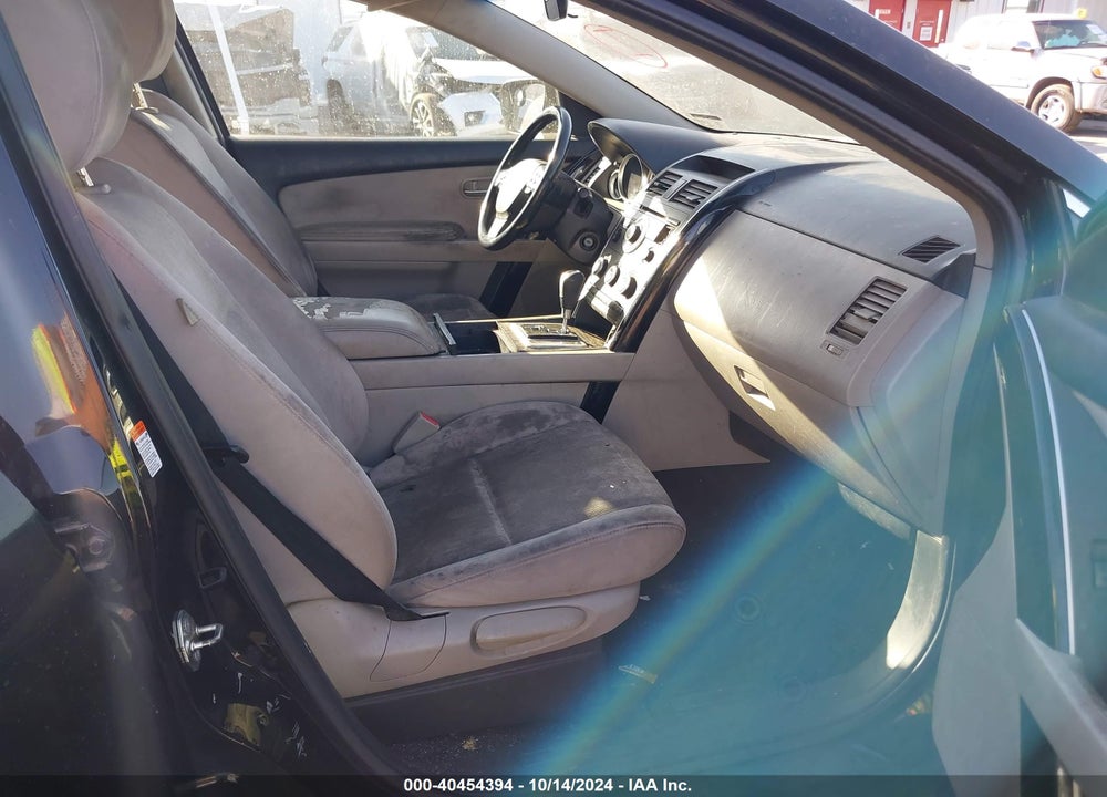 2009 MAZDA CX-9 SPORT VIN: JM3TB28V490173057