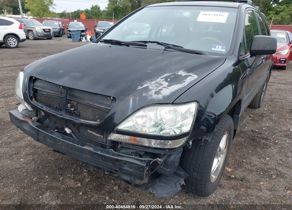 2002 LEXUS RX 300 VIN: JTJHF10U420247208