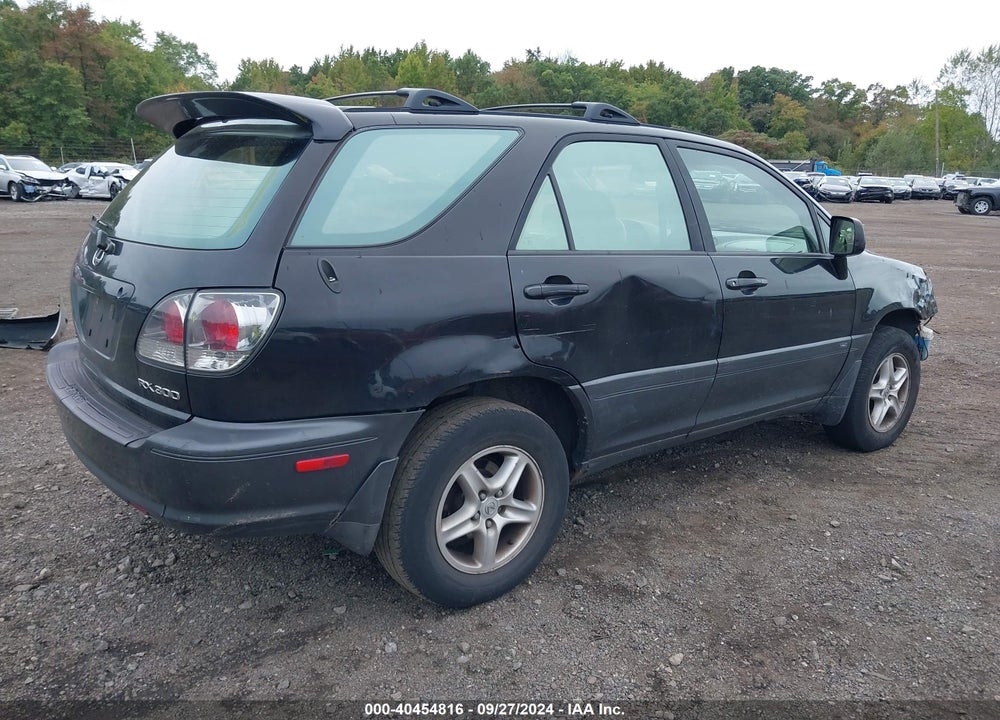 2002 LEXUS RX 300 VIN: JTJHF10U420247208