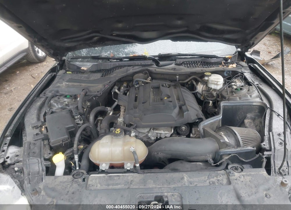 2019 FORD MUSTANG ECOBOOST VIN: 1FA6P8TH4K5111877