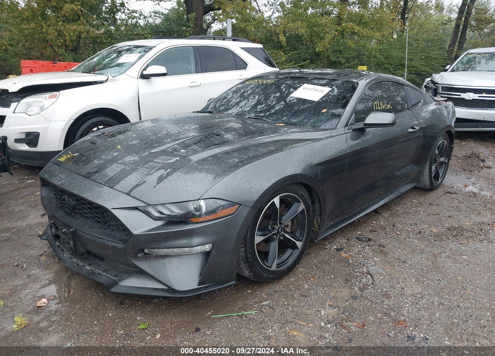 2019 FORD MUSTANG ECOBOOST VIN: 1FA6P8TH4K5111877