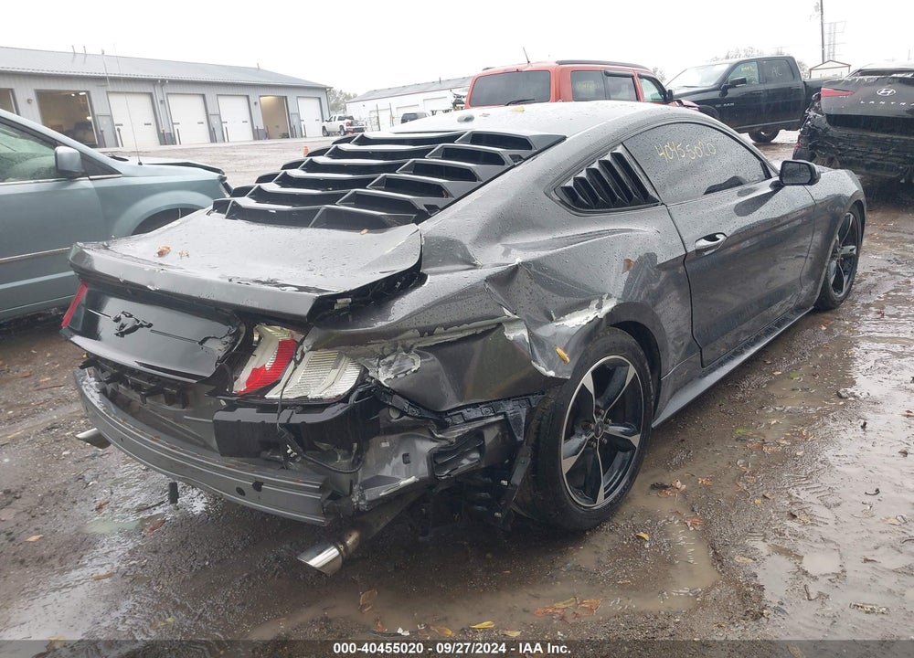 2019 FORD MUSTANG ECOBOOST VIN: 1FA6P8TH4K5111877