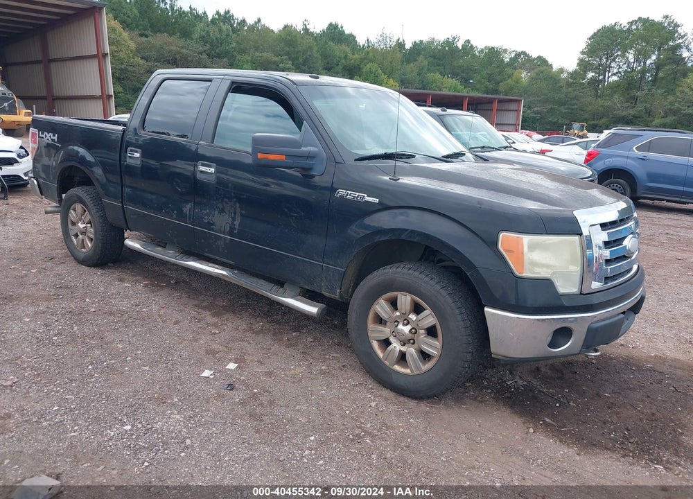 2009 FORD F-150 XL/XLT VIN: 1FTRW14849FA64869