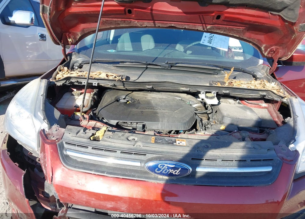 2014 FORD ESCAPE VIN: 1FMCU0GX4EUC67013