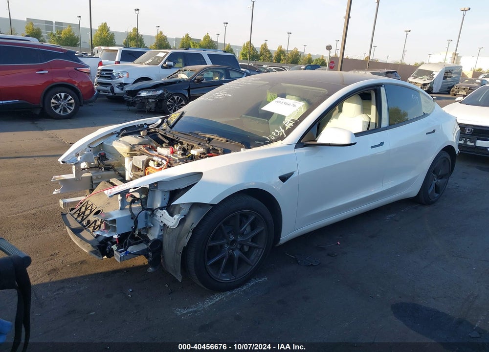 2023 TESLA MODEL 3 REAR-WHEEL DRIVE VIN: 5YJ3E1EA5PF552000