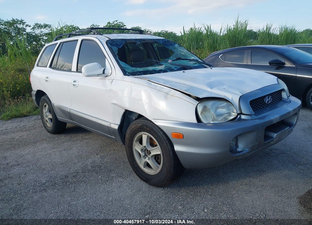2004 HYUNDAI SANTA FE GLS VIN: KM8SC13D94U583599