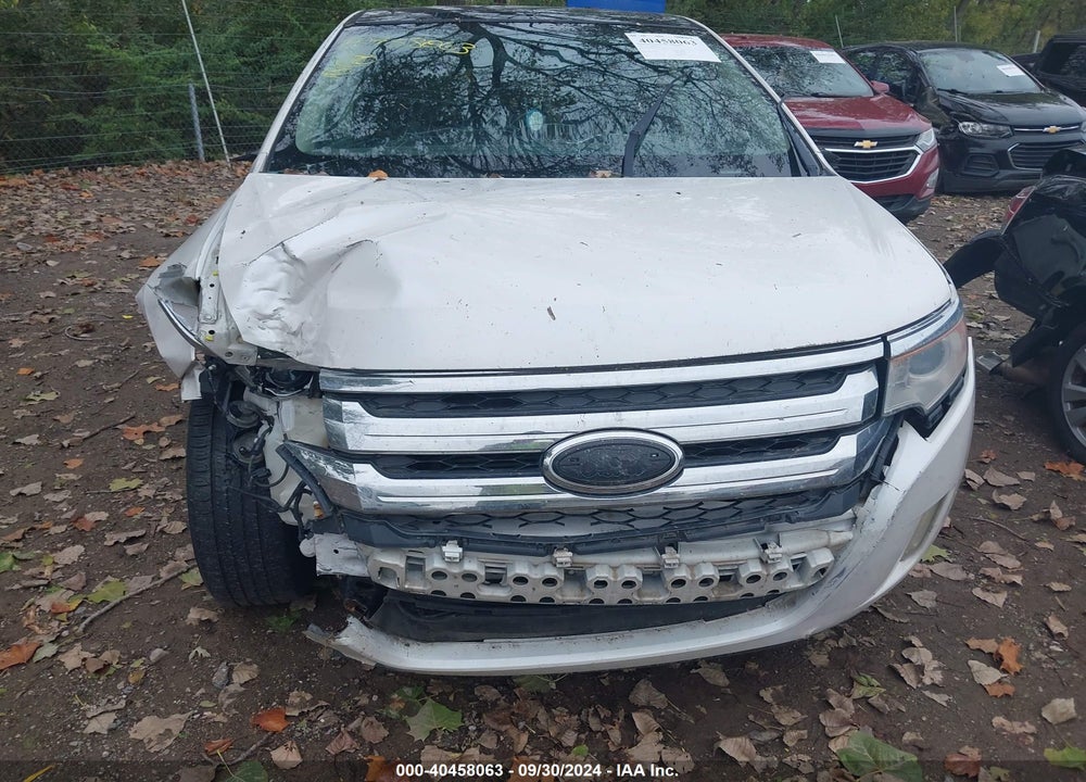 2013 FORD EDGE SEL VIN: 2FMDK3J99DBA80943