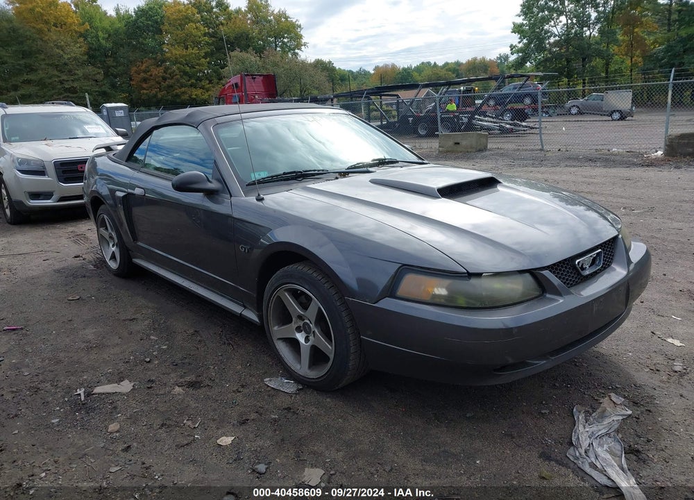 2003 FORD MUSTANG GT VIN: 1FAFP45X63F393156