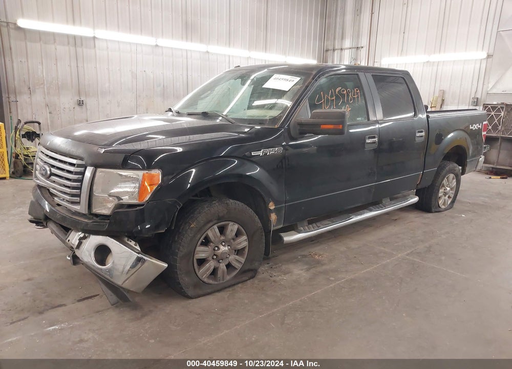 2011 FORD F-150 XLT VIN: 1FTFW1EF2BFD13207