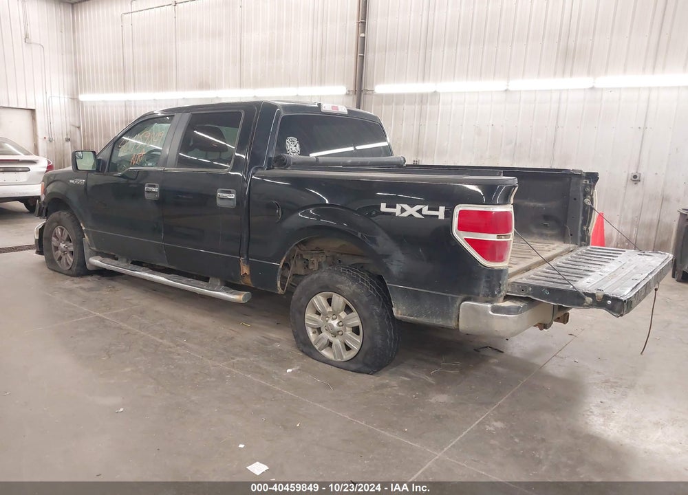 2011 FORD F-150 XLT VIN: 1FTFW1EF2BFD13207