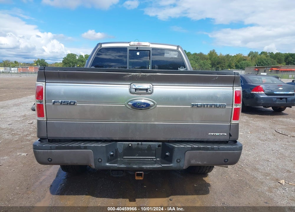 2011 FORD F-150 PLATINUM VIN: 1FTFW1EF3BFA54338