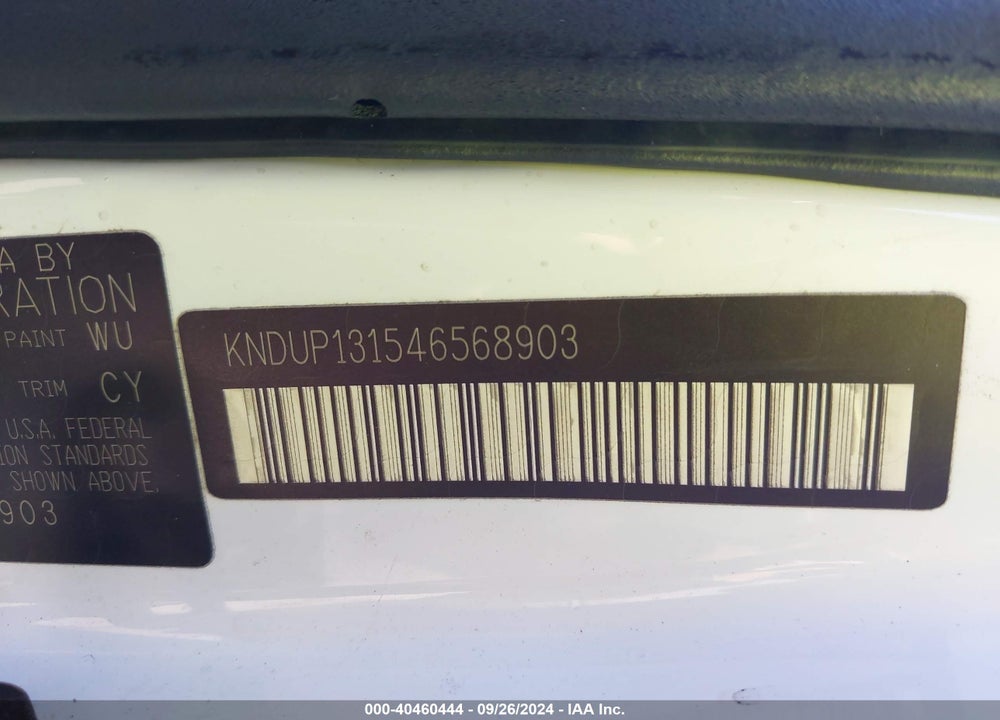 2004 KIA SEDONA EX/LX VIN: KNDUP131546568903