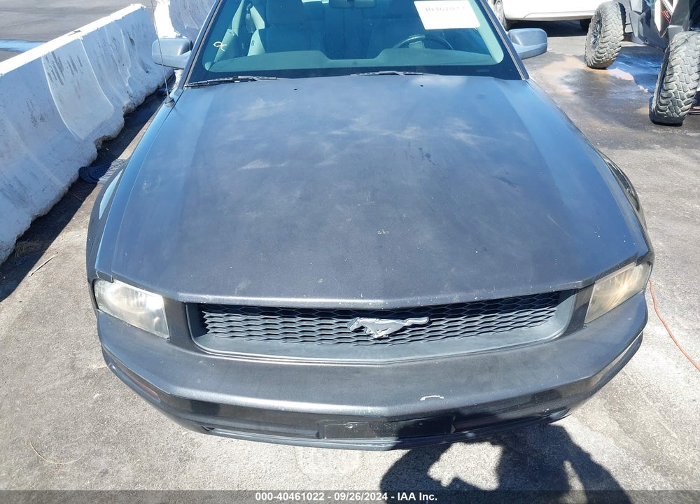 2009 FORD MUSTANG V6/V6 PREMIUM VIN: 1ZVHT80N795100873