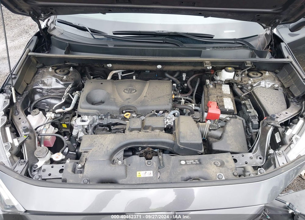 2024 TOYOTA RAV4 XLE VIN: 2T3W1RFV4RC255873
