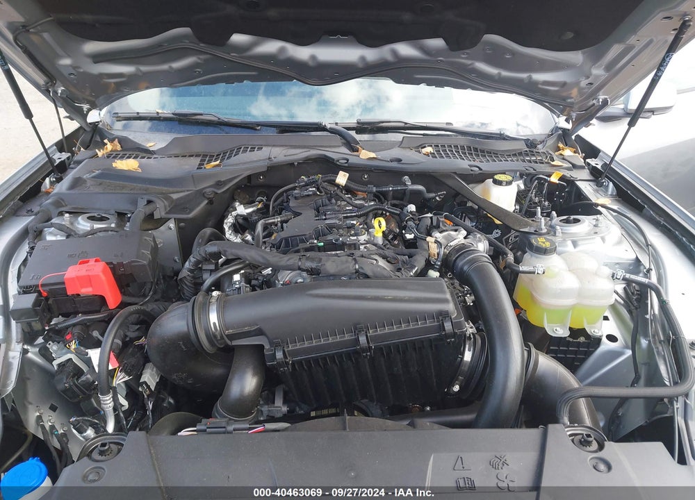 2024 FORD MUSTANG VIN: 1FAGP8UH2R5123488
