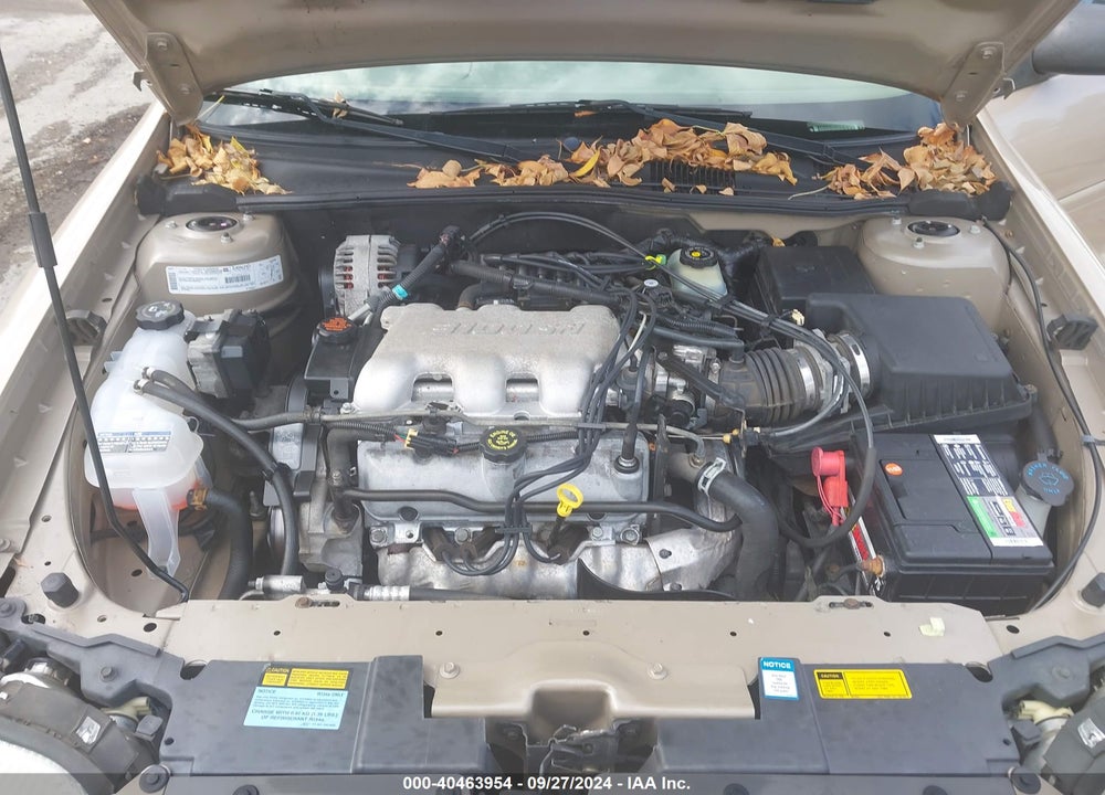 2001 CHEVROLET MALIBU VIN: 1G1ND52J516231318