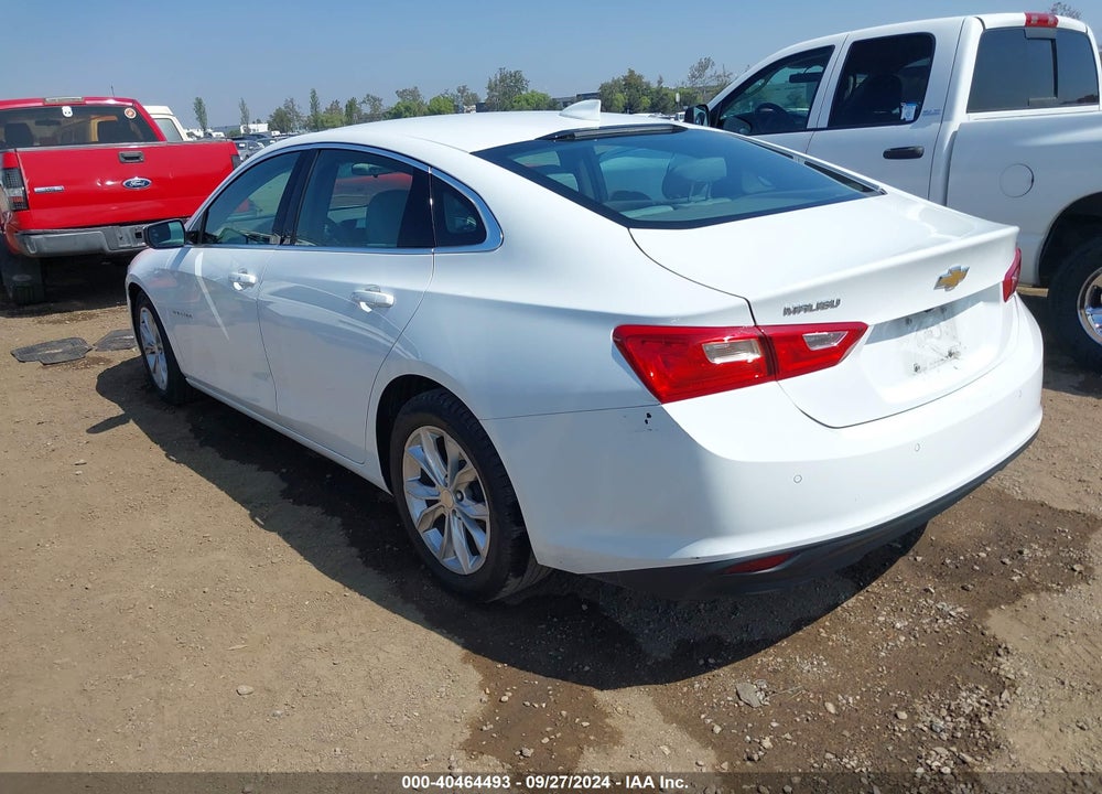 2023 CHEVROLET MALIBU FWD 1LT VIN: 1G1ZD5ST4PF132257
