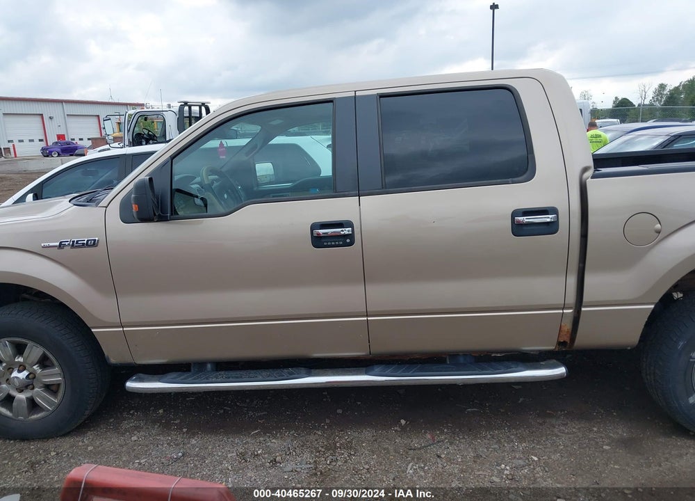 2011 FORD F-150 XLT VIN: 1FTFW1EF1BFC12174