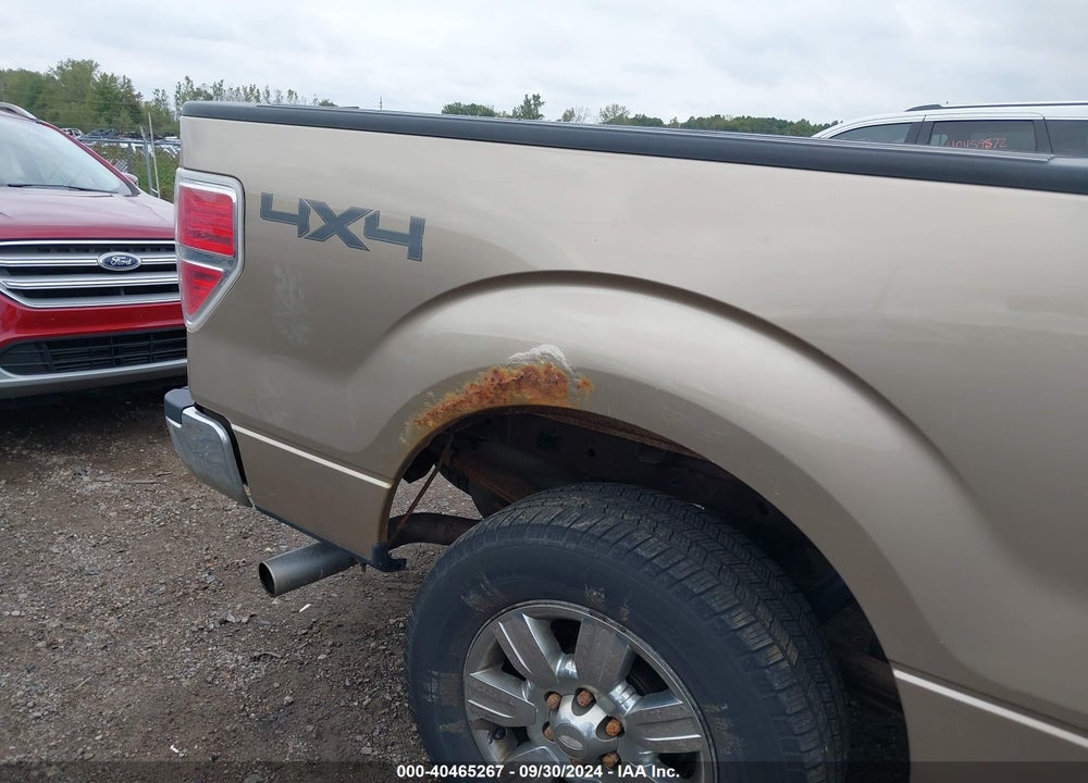 2011 FORD F-150 XLT VIN: 1FTFW1EF1BFC12174