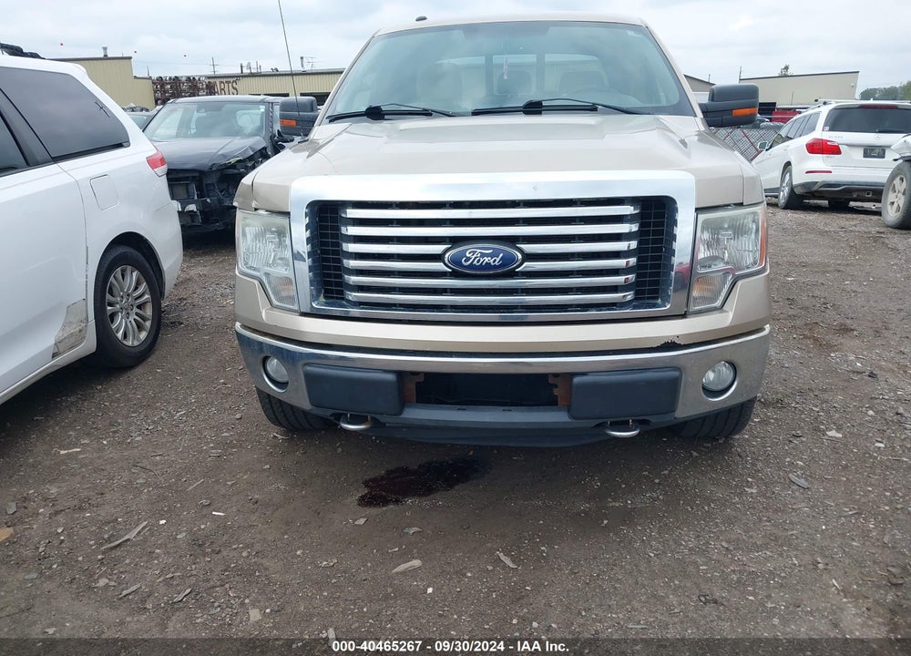 2011 FORD F-150 XLT VIN: 1FTFW1EF1BFC12174